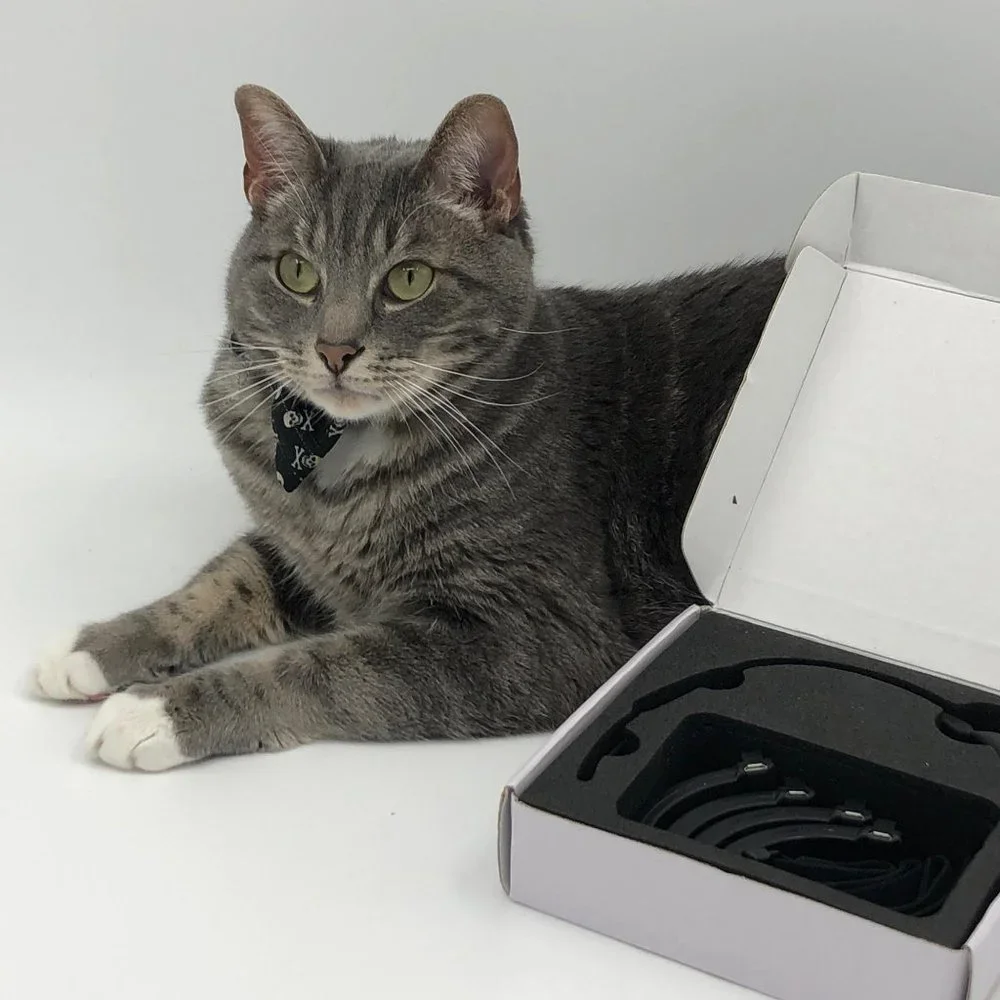 PAWTRACK GPS CAT TRACKING ADJUSTABLE USB COLLAR, New in box